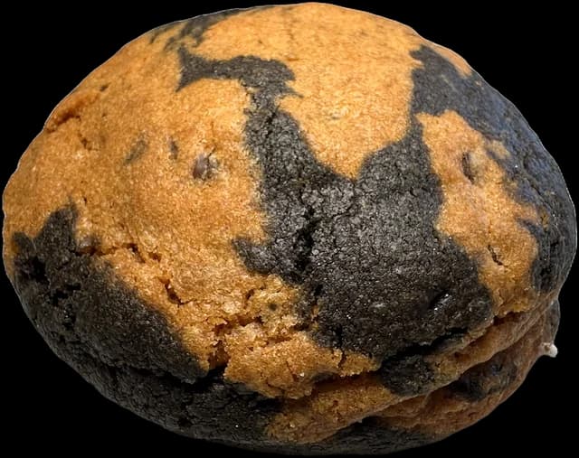 Galleta Marmolada Maldita, foto real